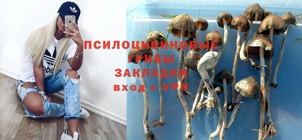 гидра Баксан