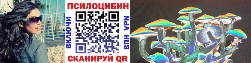 где продают наркотики  KRAKEN tor  Галлюциногенные грибы Cubensis  Петровск-Забайкальский 