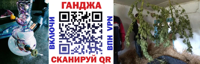 продажа наркотиков  Петровск-Забайкальский  Бошки Шишки гибрид 